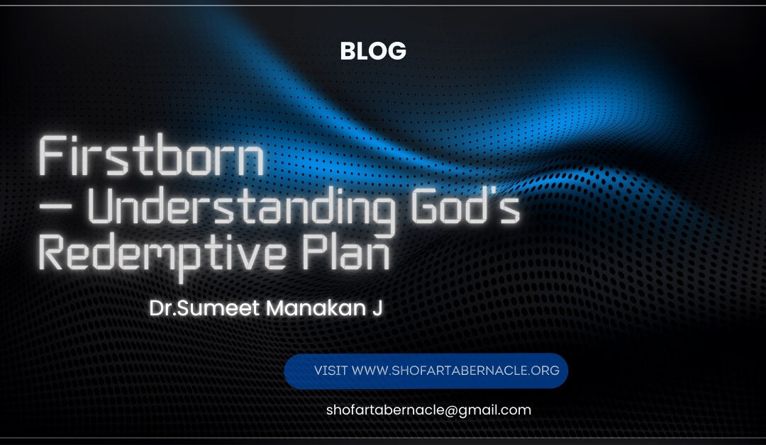 Firstborn – God’s Redemptive Plan